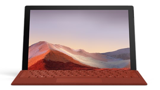 黎安镇清洁和维护 Surface
